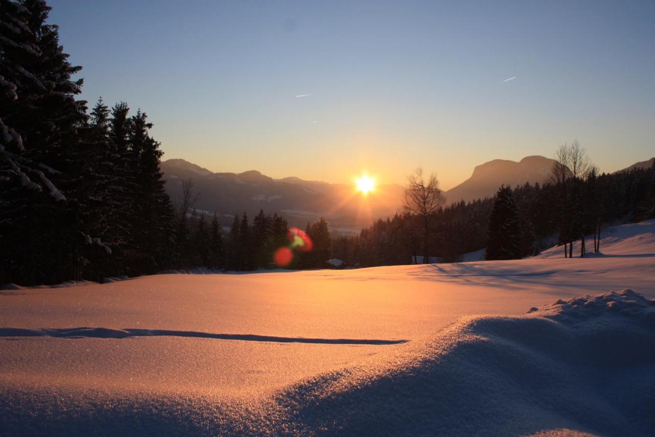 Boutique-Pension Jaegerwirt Scheffau am Wilden Kaiser Exteriér fotografie