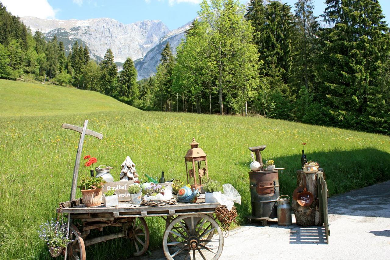 Boutique-Pension Jaegerwirt Scheffau am Wilden Kaiser Exteriér fotografie